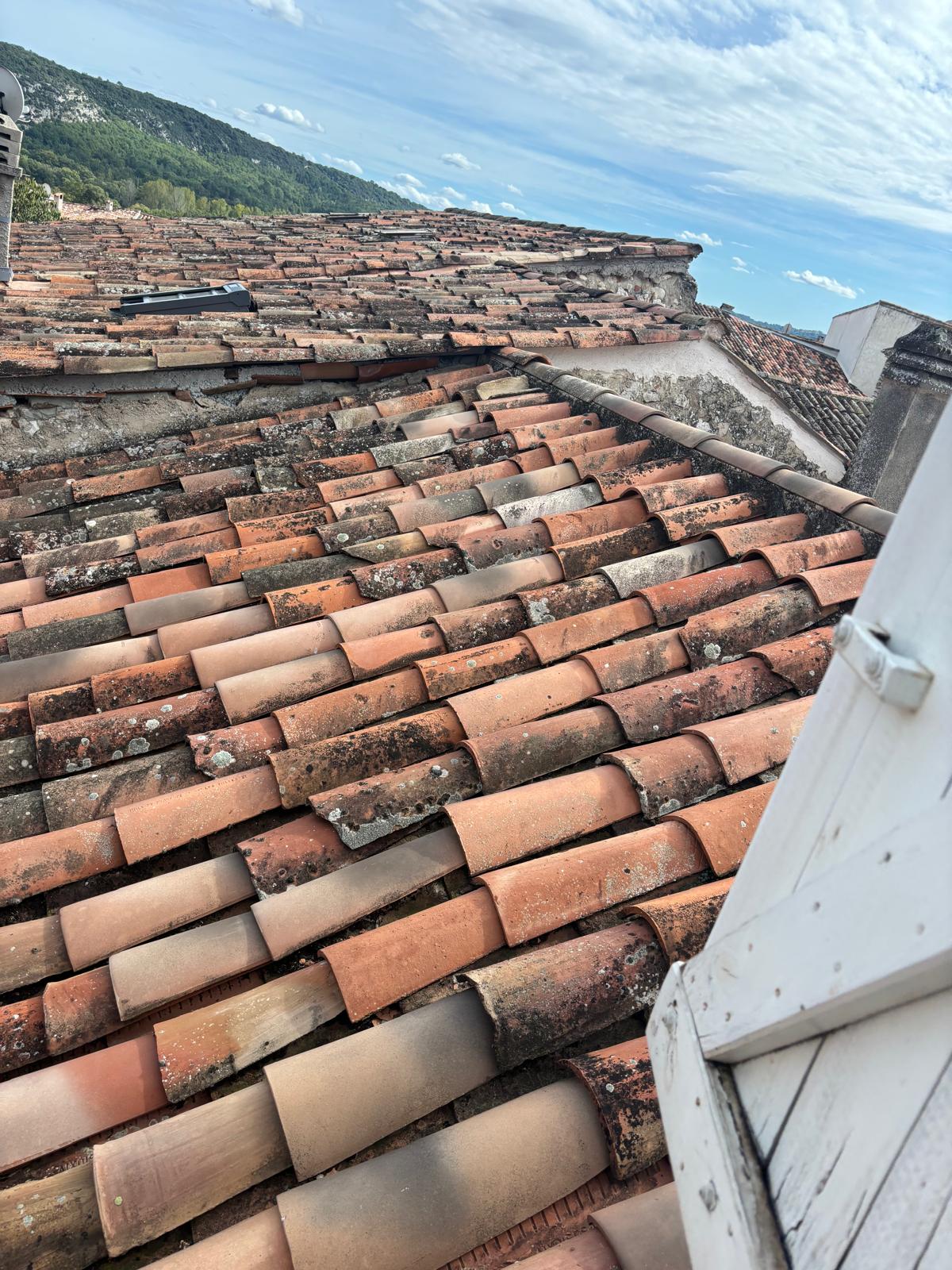 WhatsApp Image 2025-01-16 at 17.36.48